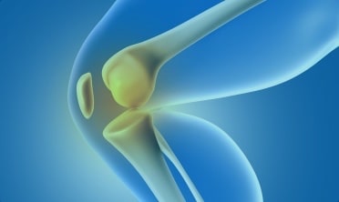 Knee Joint